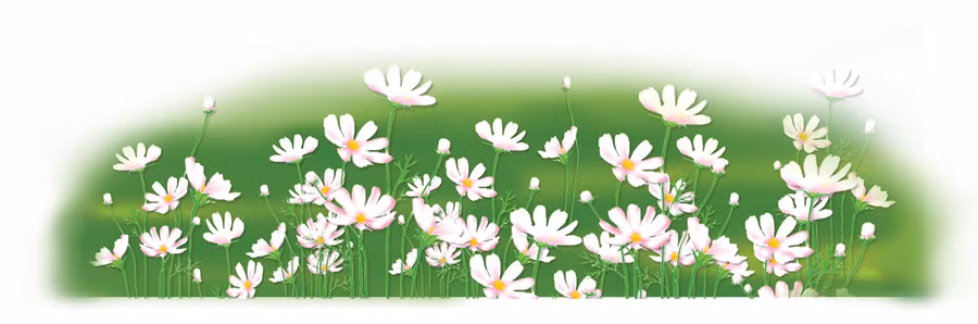 Minh họa: Huyền Trang