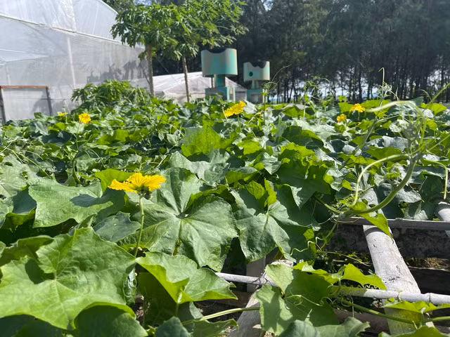 Ảnh: Nữ Vương Ảnh: Nữ Vương