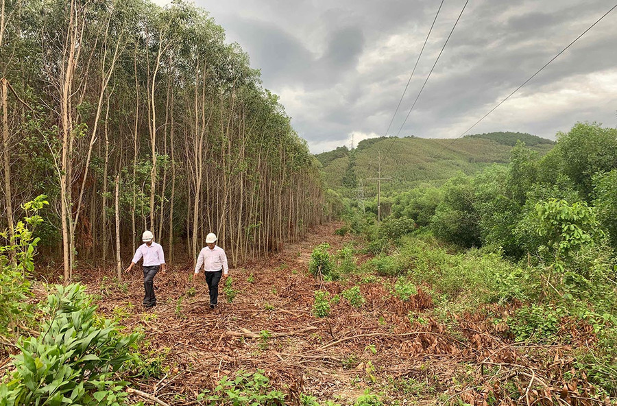 Ngành điện Gia Lai kiểm tra hành lang an toàn lưới điện mùa mưa bão. Ảnh: Hà Duy Ngành điện Gia Lai kiểm tra hành lang an toàn lưới điện mùa mưa bão. Ảnh: Hà Duy
