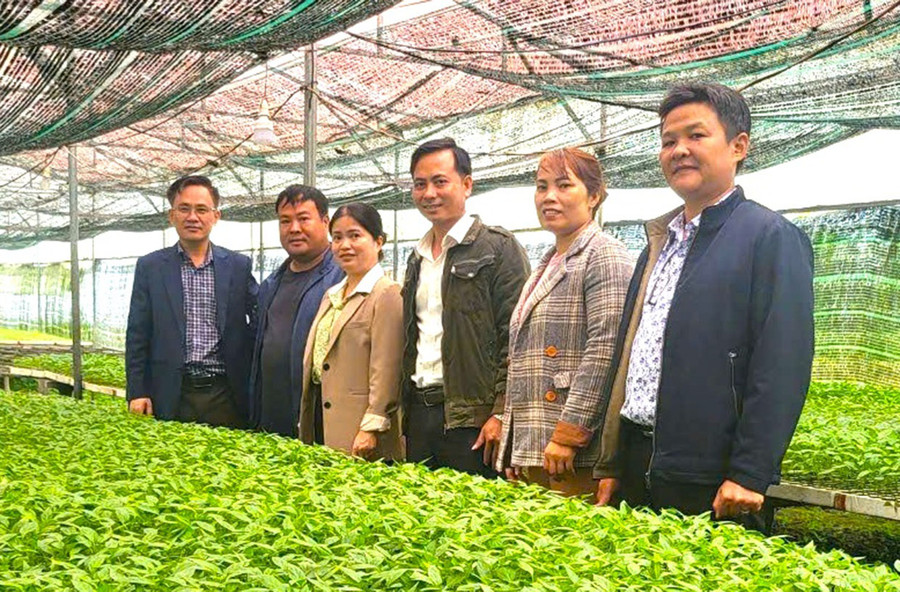 Bí thư Thị ủy An Khê Nguyễn Xuân Phước (bìa trái) thăm quan mô hình ươm cây giống tại phường An Phú. Ảnh: Minh Thử Bí thư Thị ủy An Khê Nguyễn Xuân Phước (bìa trái) thăm quan mô hình ươm cây giống tại phường An Phú. Ảnh: Minh Thử