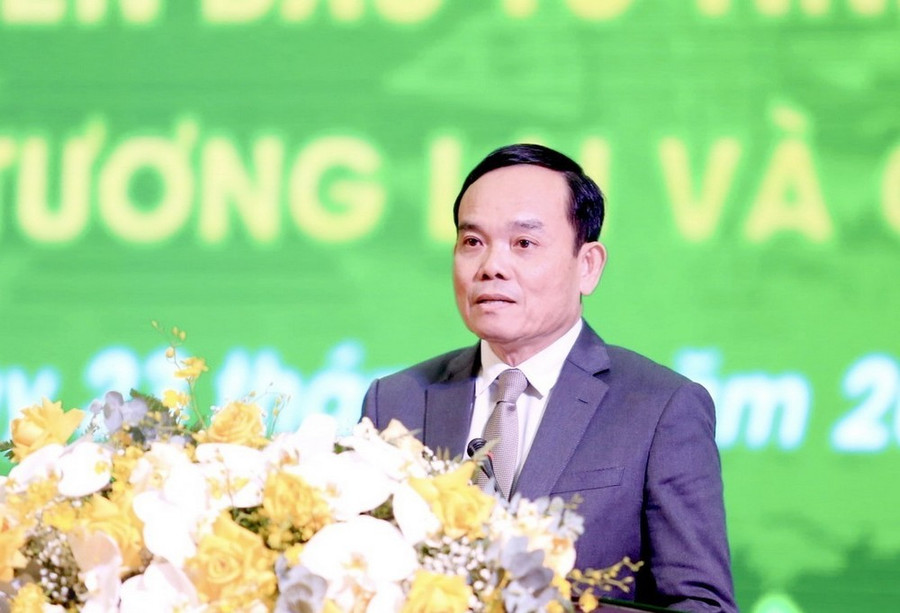 Phó Thủ tướng Trần Lưu Quang phát biểu chỉ đạo hội nghị. (Ảnh: Hưng Thịnh/TTXVN) Phó Thủ tướng Trần Lưu Quang phát biểu chỉ đạo hội nghị. (Ảnh: Hưng Thịnh/TTXVN)