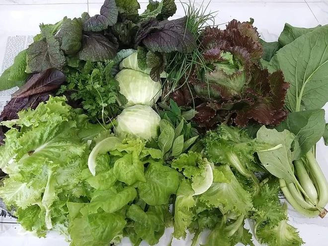 Nhiều loại rau xanh tươi mơn mởn được chị Luy trồng quanh năm. Ảnh NVCC