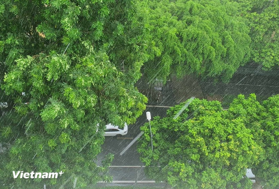 Bắc Bộ có mưa rào và dông trên diện rộng. (Ảnh: Vietnam+) Bắc Bộ có mưa rào và dông trên diện rộng. (Ảnh: Vietnam+)