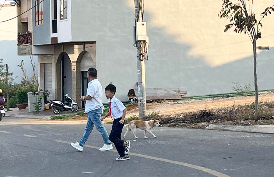 Bản thân mỗi người dân cũng cần nhận thức rõ mối nguy hiểm từ đàn vật nuôi thả rông. Ảnh: Phương Vi Bản thân mỗi người dân cũng cần nhận thức rõ mối nguy hiểm từ đàn vật nuôi thả rông. Ảnh: Phương Vi