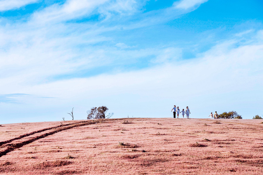 Đà Lạt đang vào mùa cỏ hồng! Những thảm cỏ đuôi chồn cao ngang người khiến cho cả triền đồi hồng rực và giúp du khách có những bức ảnh lung linh huyền ảo... Nhưng, những đồi cỏ tuyết hồng ở vùng ven Đà Lạt lại là nơi níu chân du khách nhiều hơn, bởi có thể tổ chức nhiều hoạt động trên không gian cỏ hồng mênh mông một cách an toàn và cũng không kém phần lãng mạn Đà Lạt đang vào mùa cỏ hồng! Những thảm cỏ đuôi chồn cao ngang người khiến cho cả triền đồi hồng rực và giúp du khách có những bức ảnh lung linh huyền ảo... Nhưng, những đồi cỏ tuyết hồng ở vùng ven Đà Lạt lại là nơi níu chân du khách nhiều hơn, bởi có thể tổ chức nhiều hoạt động trên không gian cỏ hồng mênh mông một cách an toàn và cũng không kém phần lãng mạn