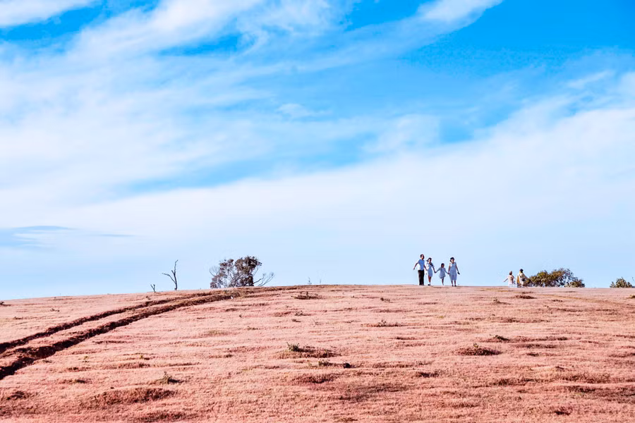 Đà Lạt đang vào mùa cỏ hồng! Những thảm cỏ đuôi chồn cao ngang người khiến cho cả triền đồi hồng rực và giúp du khách có những bức ảnh lung linh huyền ảo... Nhưng, những đồi cỏ tuyết hồng ở vùng ven Đà Lạt lại là nơi níu chân du khách nhiều hơn, bởi có thể tổ chức nhiều hoạt động trên không gian cỏ hồng mênh mông một cách an toàn và cũng không kém phần lãng mạn