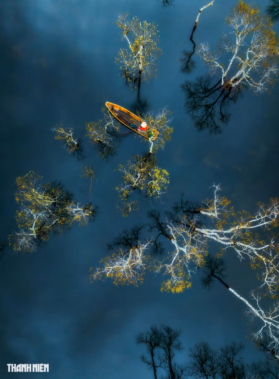 Nhiếp ảnh gia Lê Huy Anh chụp bức Ông lái đò tại rừng chò ngập nước trên hồ Tuyền Lâm vào cuối tháng 11.2022. Đây hồ nước ngọt rộng nhất Đà Lạt, cách trung tâm thành phố khoảng 7 km theo hướng quốc lộ 20 lên đèo Prenn. Ảnh: LÊ HUY ANH