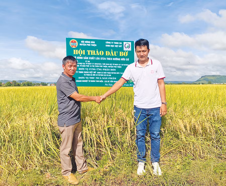 Đại diện Doanh nghiệp tư nhân Tám Biển (bìa phải, huyện Cái Bè, tỉnh Tiền Giang) cam kết thu mua lúa ST24 cho nông dân Phú Thiện. Ảnh: Vũ Chi