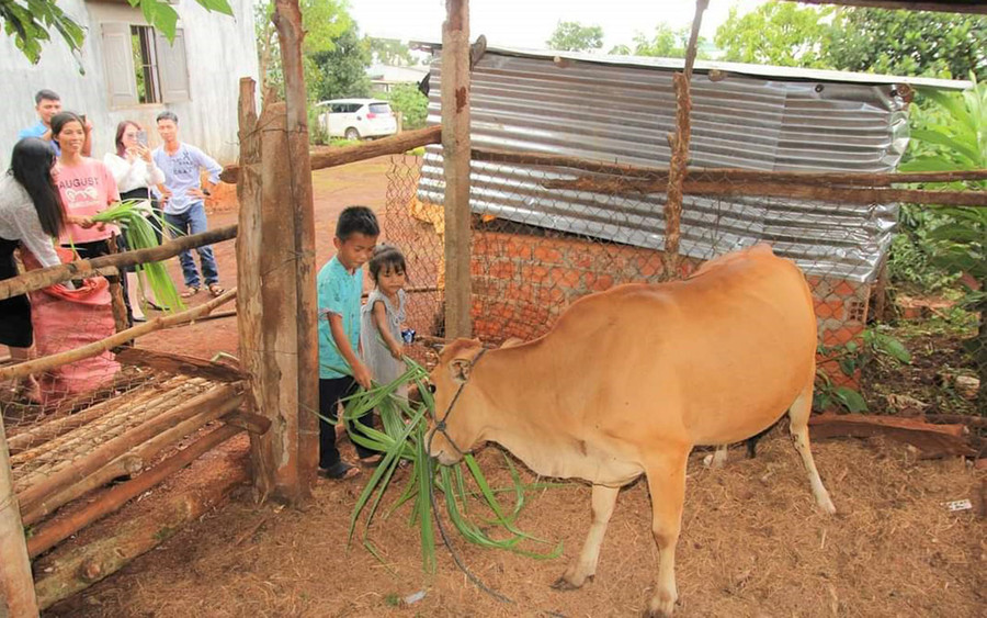 Trao bò cho các em thiếu nhi dân tộc thiểu số mồ côi tại huyện Đak Đoa. Ảnh:Hà Đức Thành Trao bò cho các em thiếu nhi dân tộc thiểu số mồ côi tại huyện Đak Đoa. Ảnh:Hà Đức Thành