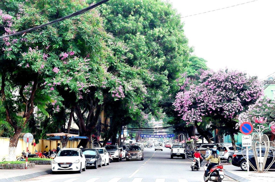 Đường Hoàng Hoa Thám (TP. Pleiku) rợp bóng cây xanh. Ảnh: Đức Thụy