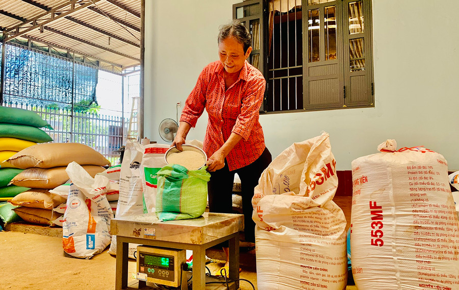 Từ làm dịch vụ xay xát, bán gạo, cám và chăn nuôi, mỗi năm, gia đình bà Nguyễn Thị Tính (thôn Ninh Hòa, xã Ia Boòng) thu về hơn 500 triệu đồng. Ảnh: Nhật Hào Từ làm dịch vụ xay xát, bán gạo, cám và chăn nuôi, mỗi năm, gia đình bà Nguyễn Thị Tính (thôn Ninh Hòa, xã Ia Boòng) thu về hơn 500 triệu đồng. Ảnh: Nhật Hào