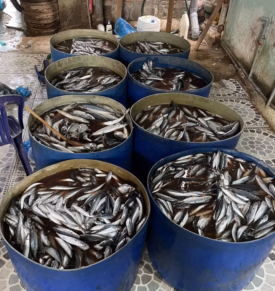 Công an huyện Krông Pa phát hiện tại khu vực chế biến thực phẩm có 9 thùng nước đang ngâm cá bên trong và 1 can chứa chất lỏng trong suốt nghi là chất tẩy trắng. Ảnh đơn vị cung cấp