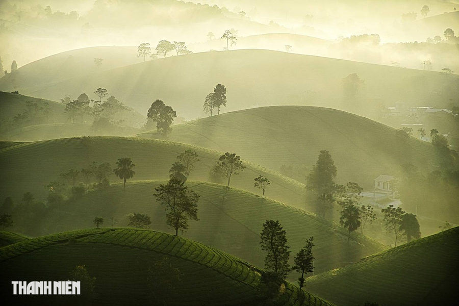 Sương sớm trên đồi chè của tác giả Nguyễn Duy Khánh cuốn du khách lạc vào chốn bồng lai tiên cảnh ở đồi chè Long Cốc tại huyện Tân Sơn, tỉnh Phú Thọ, nằm cách Hà Nội khoảng 125 km. Những "ốc đảo chè" nhấp nhô khiến Long Cốc được mệnh danh là "vịnh Hạ Long vùng trung du". Ảnh: NGUYỄN DUY KHÁNH Sương sớm trên đồi chè của tác giả Nguyễn Duy Khánh cuốn du khách lạc vào chốn bồng lai tiên cảnh ở đồi chè Long Cốc tại huyện Tân Sơn, tỉnh Phú Thọ, nằm cách Hà Nội khoảng 125 km. Những "ốc đảo chè" nhấp nhô khiến Long Cốc được mệnh danh là "vịnh Hạ Long vùng trung du". Ảnh: NGUYỄN DUY KHÁNH