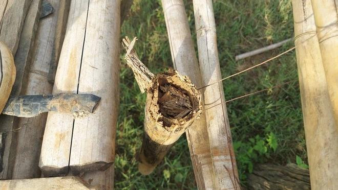 Cây cầu tạm làm bằng tre, gỗ chỉ có thể phục vụ đi lại trong mùa khô. Ảnh: ĐỨC NHẬT Cây cầu tạm làm bằng tre, gỗ chỉ có thể phục vụ đi lại trong mùa khô. Ảnh: ĐỨC NHẬT