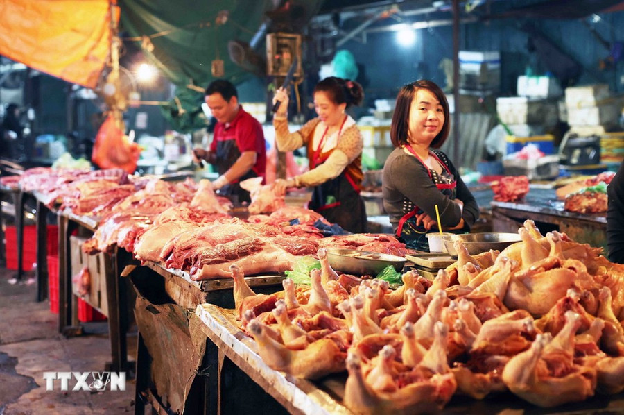 (Ảnh: Vũ Sinh/TTXVN) (Ảnh: Vũ Sinh/TTXVN)