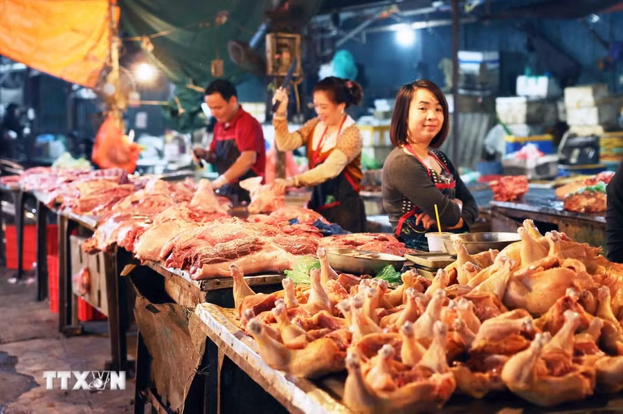 (Ảnh: Vũ Sinh/TTXVN)