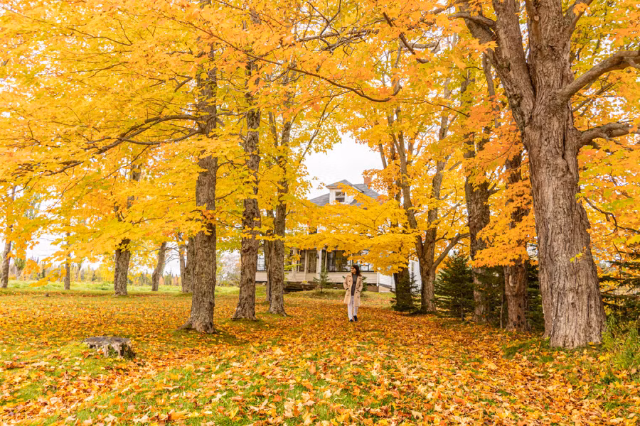 Sắc thu ở Nova Scotia. Ảnh: TRẦN THẾ DŨNG