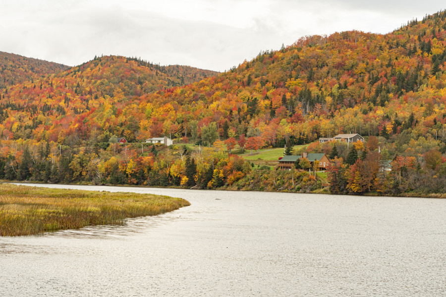 Ngắm Sắc Thu Rực Rỡ Ở Nova Scotia - Ảnh 5. Sắc thu bên những trang trại ở thung lũng sông Margaree. Ảnh: TRẦN THẾ DŨNG