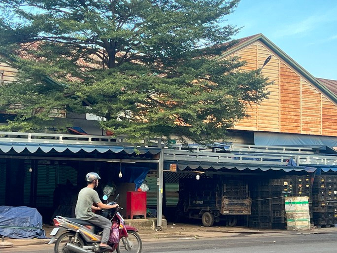 Nơi mẹ con chị T. thuê chỗ bán rau củ