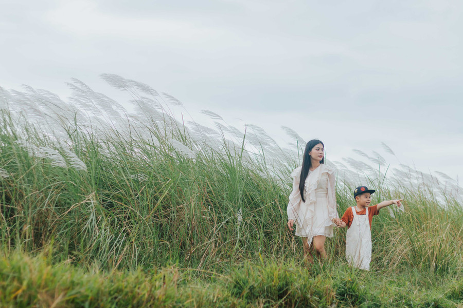 Để tiếp cận các bãi lau, du khách cần phải băng qua các cánh đồng. Ảnh: BÁ CƯỜNG