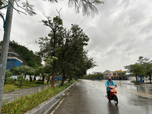 Mưa từ sáng sớm kèm gió giật ở Quảng Ninh Mưa từ sáng sớm kèm gió giật ở Quảng Ninh