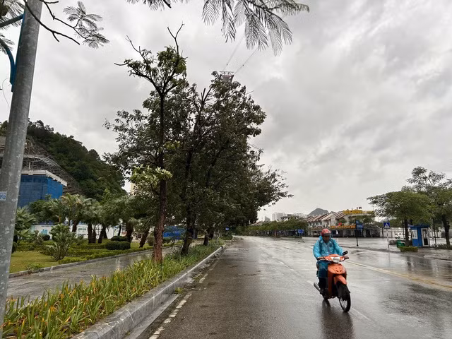 Mưa từ sáng sớm kèm gió giật ở Quảng Ninh