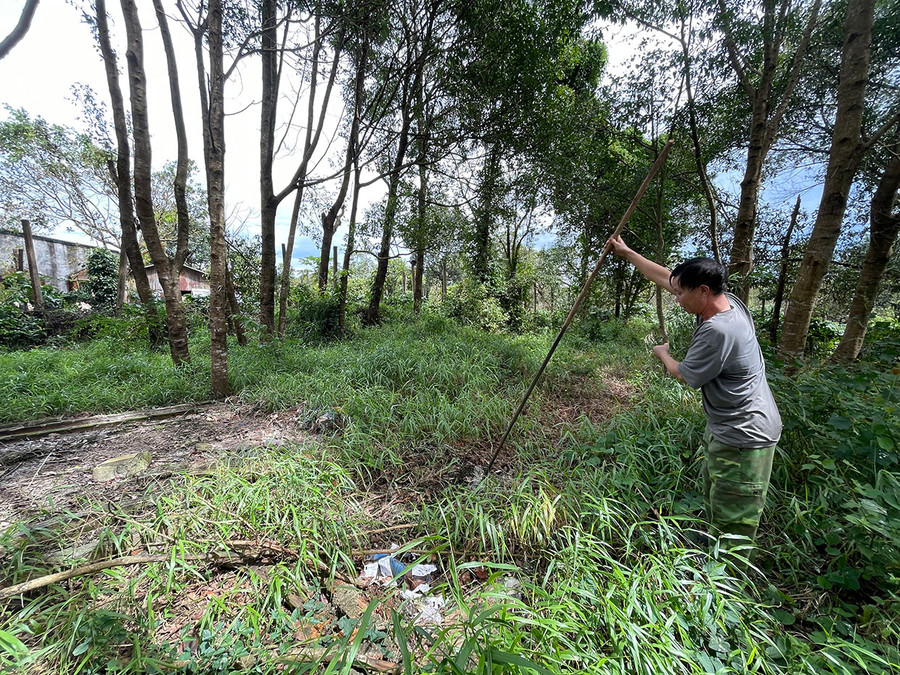 Khu vực hố chứa nước thải gây mùi hôi thối ở phía sau cơ sở thu mua mủ cao su. Ảnh: L.V.N