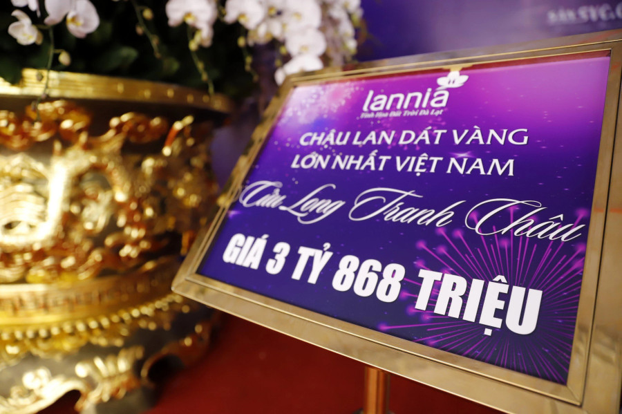 Chậu lan được rao bán với giá "khủng". Ảnh: ĐÌNH HUY Chậu lan được rao bán với giá "khủng". Ảnh: ĐÌNH HUY