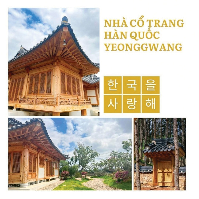 Đa dạng các hoạt động tham quan, vui chơi tại KDL Rừng Thông Núi Voi Đa dạng các hoạt động tham quan, vui chơi tại KDL Rừng Thông Núi Voi