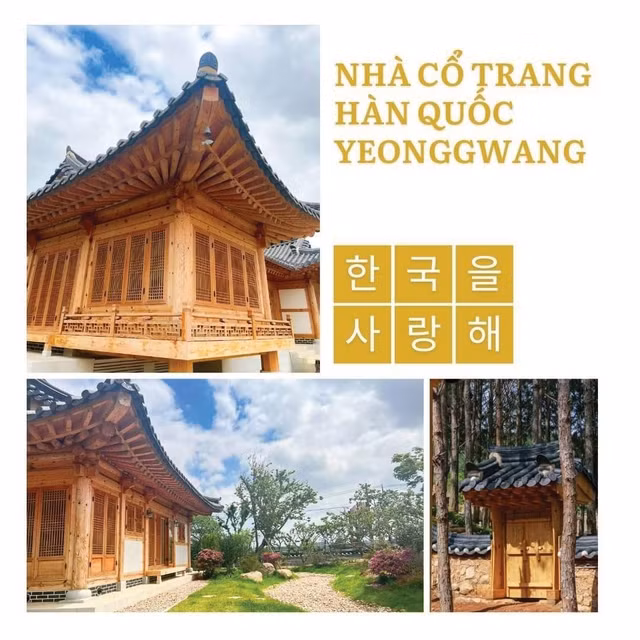 Đa dạng các hoạt động tham quan, vui chơi tại KDL Rừng Thông Núi Voi