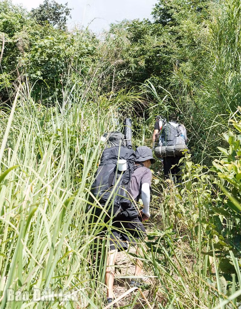 Du khách phải luồn lách qua những trảng cỏ và con đường mòn để lên đỉnh đồi. Du khách phải luồn lách qua những trảng cỏ và con đường mòn để lên đỉnh đồi.