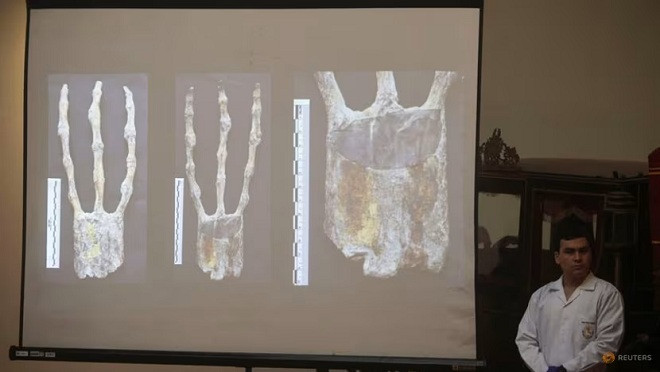 Bàn tay với ba ngón cũng có nguồn gốc từ Trái Đất. Ảnh: Reuters