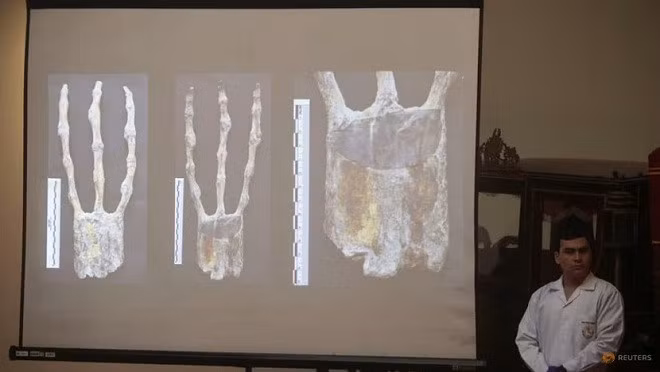 Bàn tay với ba ngón cũng có nguồn gốc từ Trái Đất. Ảnh: Reuters