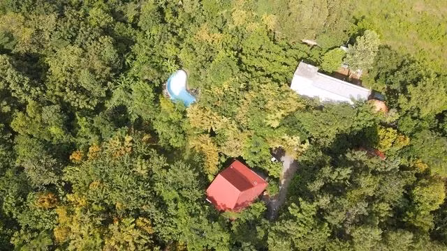 Suối Rao Ecolodge phủ kín mảng xanh