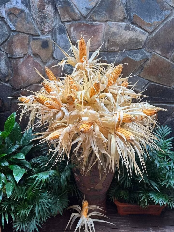 "Bình hoa ngô" lạ mắt được nhiều người thích thú. (Ảnh chụp Facebook)