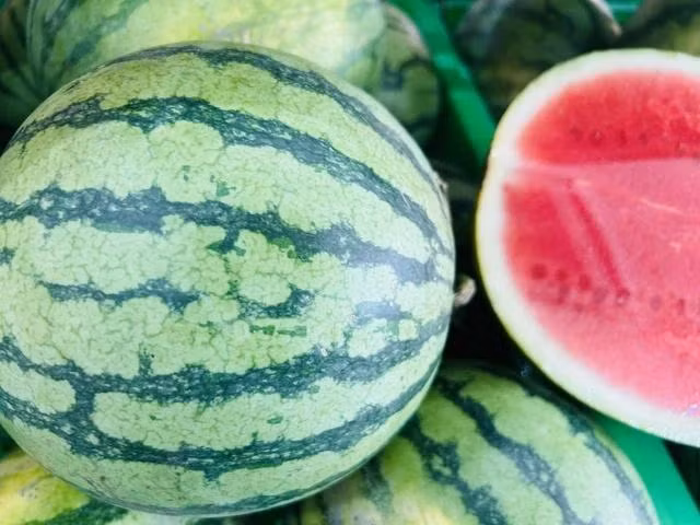 Uống nước ép vỏ dưa hấu sau khi uống rượu làm giảm nôn nao, chóng mặt. Ảnh: Lê Cầm