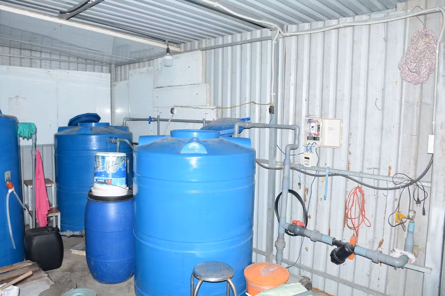 Hệ thống tưới nước nhỏ giọt. Ảnh: TẤN ĐẠT