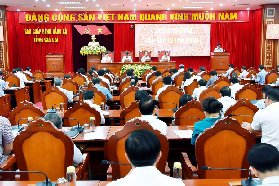 Quang cảnh hội nghị. Ảnh: Đức Thụy
