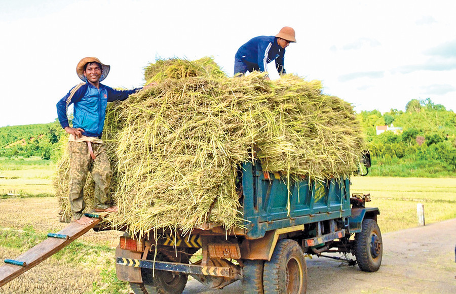 Những cây cầu bê tông vững chắc đã tạo điều kiện cho người dân đi lại, sản xuất, vận chuyển hàng hóa nông sản thuận lợi. Ảnh: Minh Nguyễn Những cây cầu bê tông vững chắc đã tạo điều kiện cho người dân đi lại, sản xuất, vận chuyển hàng hóa nông sản thuận lợi. Ảnh: Minh Nguyễn