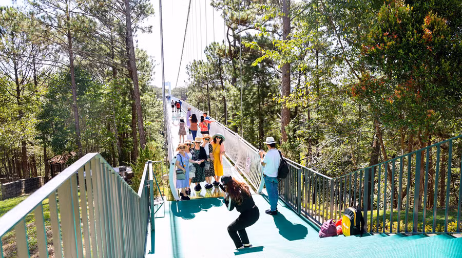 Cầu đáy kính Ngàn Thông dài 325 m, rộng 3 m, nối Thung lũng Tình yêu với Đồi Mộng Mơ, xuyên qua đồi thông xanh mát, trong lành, có thể đón cùng lúc 200 du khách trải nghiệm và thưởng thức phong cảnh