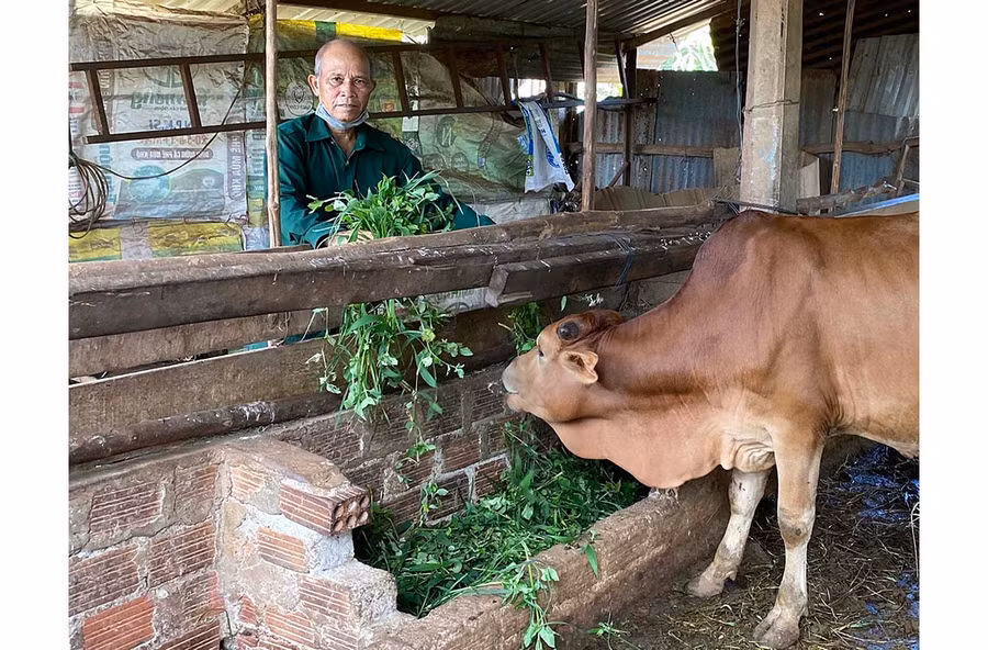 Ông Ksor Hyao (làng Breng 3, xã Ia Dêr, huyện Ia Grai) được vay vốn ưu đãi để đầu tư chăn nuôi, phát triển sản xuất. Ảnh: H.D Ông Ksor Hyao (làng Breng 3, xã Ia Dêr, huyện Ia Grai) được vay vốn ưu đãi để đầu tư chăn nuôi, phát triển sản xuất. Ảnh: H.D