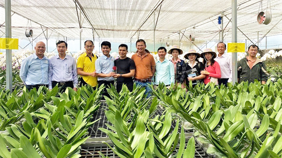 Thương hiệu lan hồ điệp Luxfarm đã và đang được thị trường đặt hàng mua với giá khá cao hàng năm Thương hiệu lan hồ điệp Luxfarm đã và đang được thị trường đặt hàng mua với giá khá cao hàng năm