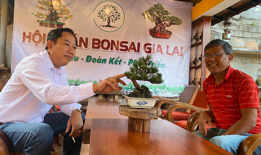 Mỗi tác phẩm nghệ thuật bonsai là sự kết hợp từ các yếu tố cổ, kỳ, mỹ. Ảnh: S.C