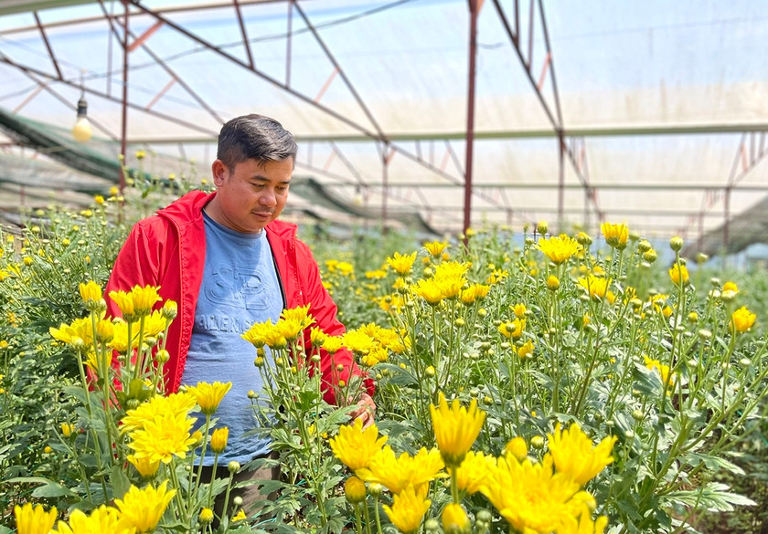 Ưu tiên sử dụng ngân sách nhà nước hỗ trợ các dự án, kế hoạch, phương án, mô hình phát triển sản xuất thực hiện trên địa bàn các huyện nghèo, xã đặc biệt khó khăn. Ảnh: Minh Nguyễn