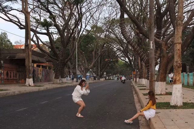 Từ 10 - 14.3, tuyến đường này dự kiến sẽ thu hút đông đảo người dân và du khách đến thưởng thức cà phê. Ảnh: HOÀNG BÌNH