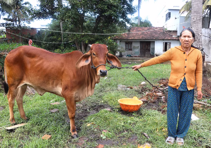 Được chính quyền địa phương, hội, đoàn thể hỗ trợ sinh kế, bà Đinh Thị Thắm (tổ 6, phường Tây Sơn) đã vươn lên thoát nghèo. Ảnh: N.M