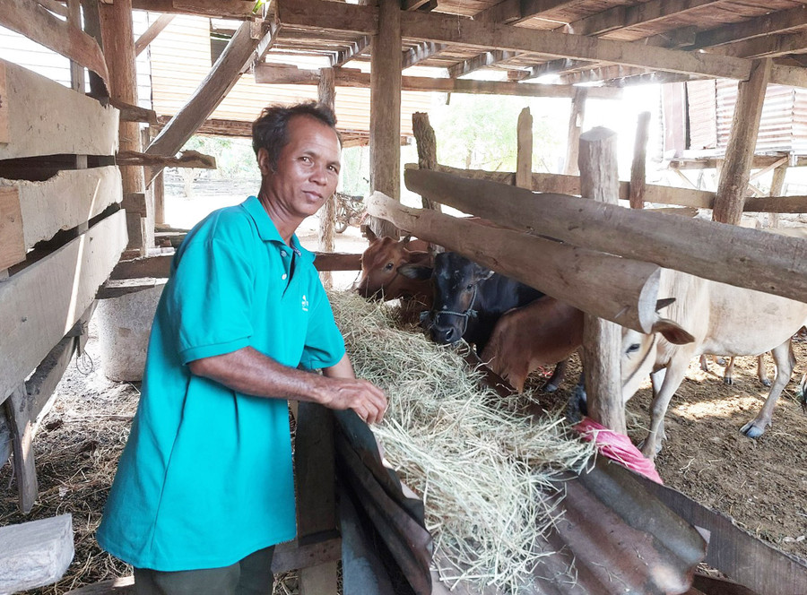 Người dân xã Ia Sao đẩy mạnh phát triển chăn nuôi để vươn lên thoát nghèo bền vững. Ảnh: Nguyễn Diệp Người dân xã Ia Sao đẩy mạnh phát triển chăn nuôi để vươn lên thoát nghèo bền vững. Ảnh: Nguyễn Diệp