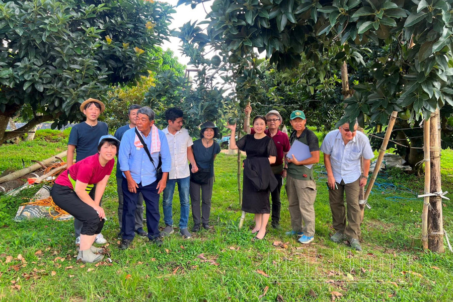 Đoàn du khách thích thú khi được trải nghiệm và chụp ảnh lưu niệm tại HTX Nông lâm nghiệp hữu cơ Quảng Phú, huyện Krông Nô Đoàn du khách thích thú khi được trải nghiệm và chụp ảnh lưu niệm tại HTX Nông lâm nghiệp hữu cơ Quảng Phú, huyện Krông Nô