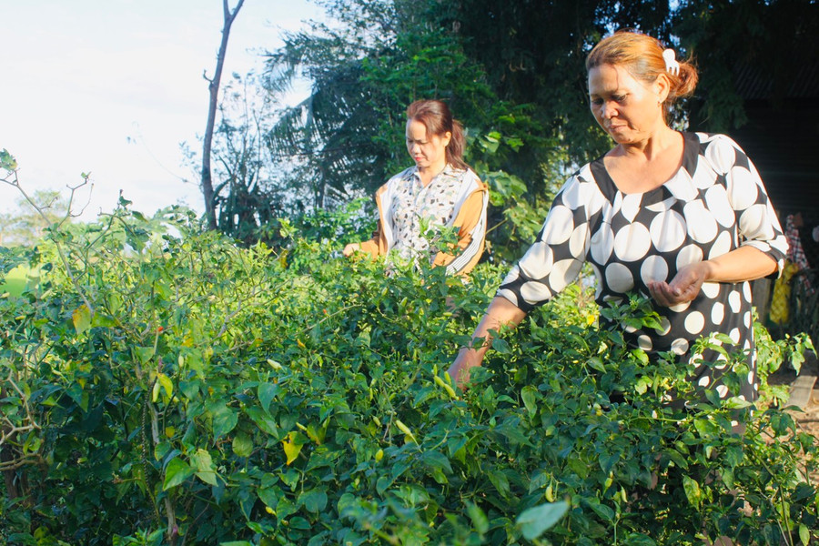 Bà Rô H’Mrẽ (bìa phải) phát triển mô hình kinh tế tổng hợp cho thu nhập hơn 150 triệu đồng/năm. Ảnh: N.H