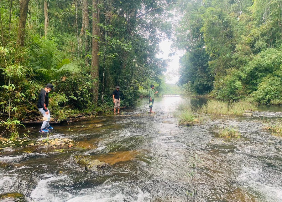 Gần đỉnh thác là một con suối nhỏ phủ dày rêu xanh. Ảnh: V.T.T Gần đỉnh thác là một con suối nhỏ phủ dày rêu xanh. Ảnh: V.T.T